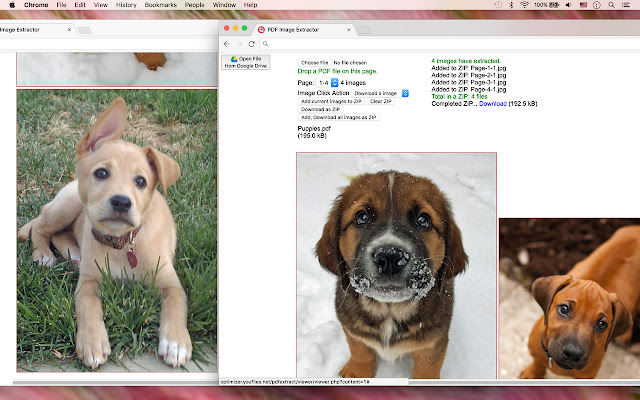 PDF Image Extractor  from Chrome web store to be run with OffiDocs Chromium online