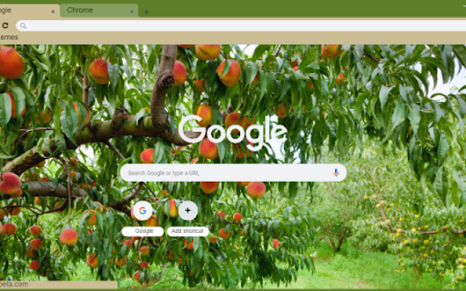 Peach Tree  from Chrome web store to be run with OffiDocs Chromium online