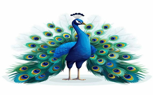 peacock wallpaper  from Chrome web store to be run with OffiDocs Chromium online