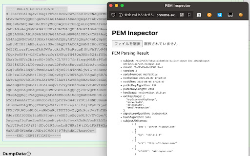 PEM Inspector  from Chrome web store to be run with OffiDocs Chromium online