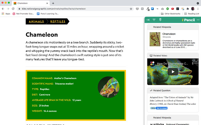 Pencil Explore for Chrome  from Chrome web store to be run with OffiDocs Chromium online