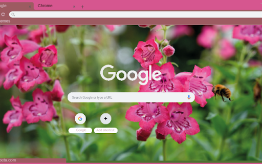 Penstemon  from Chrome web store to be run with OffiDocs Chromium online