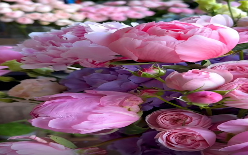 Peony and Rose Wallpaper from Chrome web store to be run with OffiDocs Chromium online Peony and Rose Wallpaper from Chrome web store to be run with OffiDocs Chromium online