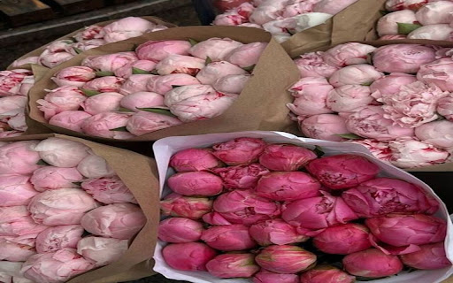 Peony bouquet background image in bag  from Chrome web store to be run with OffiDocs Chromium online