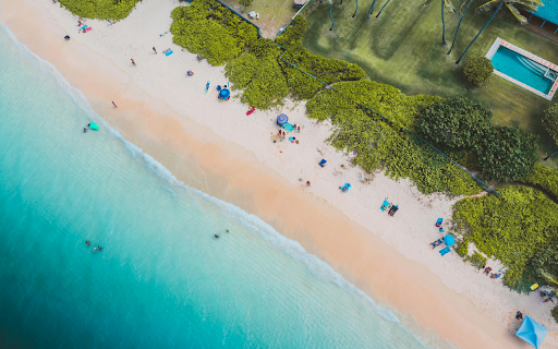People on Beach Shore Near Green Grass  from Chrome web store to be run with OffiDocs Chromium online