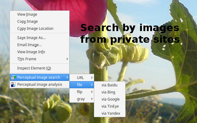 Perceptual image search  from Chrome web store to be run with OffiDocs Chromium online