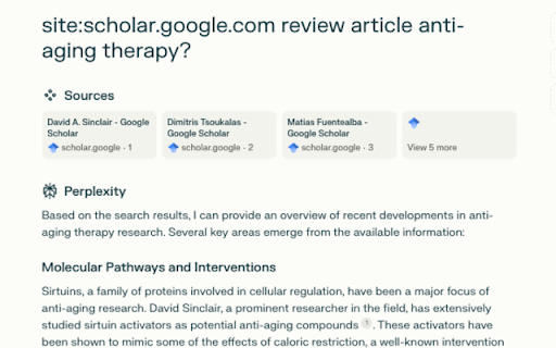 Perplexiti AI Goocle Scholar Search  from Chrome web store to be run with OffiDocs Chromium online