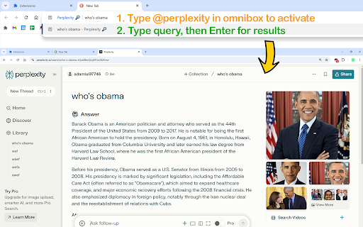 Perplexity Omnibox  from Chrome web store to be run with OffiDocs Chromium online