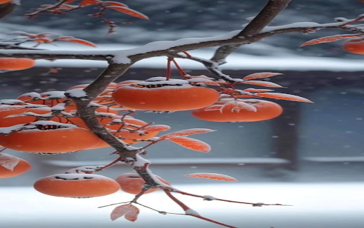 Persimmons in the snow Wallpaper  from Chrome web store to be run with OffiDocs Chromium online