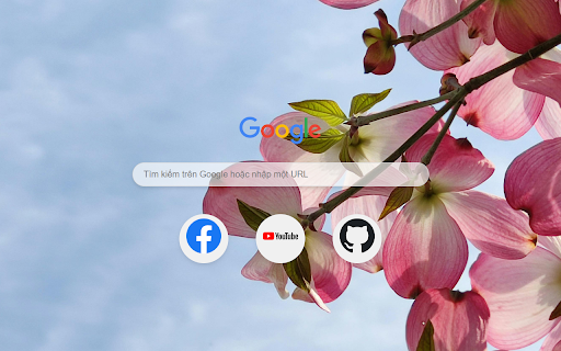Petal Bliss  from Chrome web store to be run with OffiDocs Chromium online