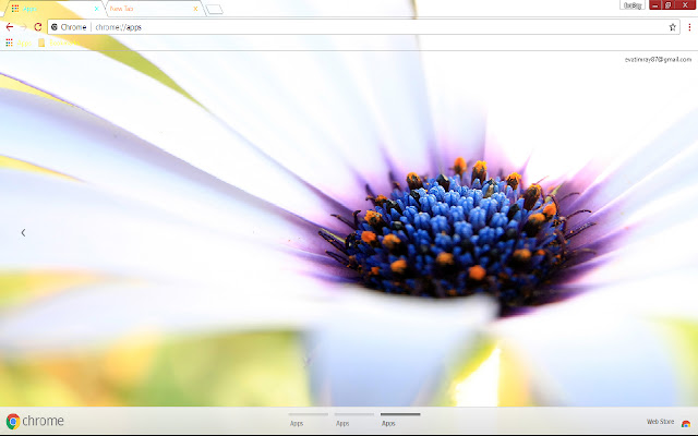 Petal White Flower de la tienda web de Chrome se ejecutará con OffiDocs Chromium en línea