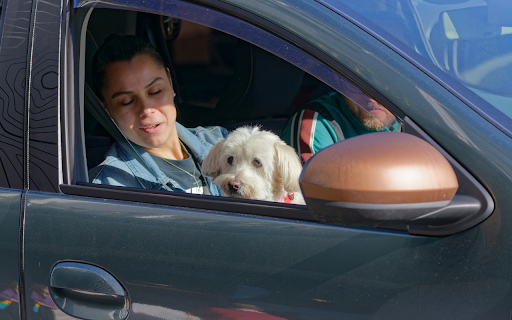 Pet dog  from Chrome web store to be run with OffiDocs Chromium online