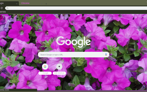 Petunia  from Chrome web store to be run with OffiDocs Chromium online