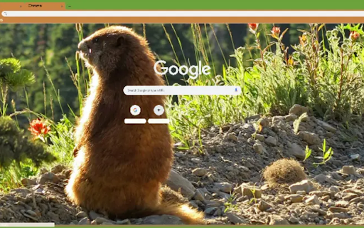 Philosopher Marmot v1  from Chrome web store to be run with OffiDocs Chromium online