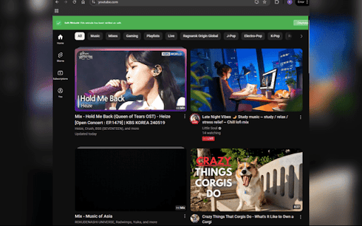 Phishing Detection System  from Chrome web store to be run with OffiDocs Chromium online