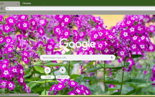 Phlox  from Chrome web store to be run with OffiDocs Chromium online