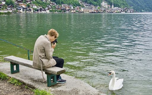 Photography and swans  from Chrome web store to be run with OffiDocs Chromium online