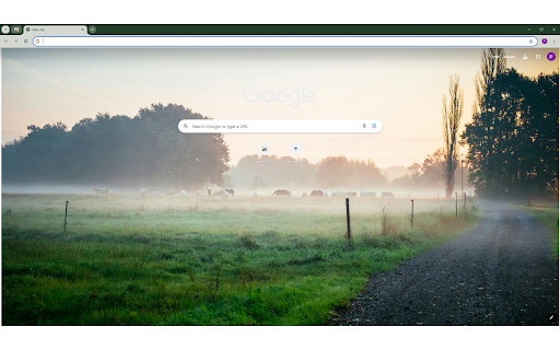 Photography of Green Grass Field  from Chrome web store to be run with OffiDocs Chromium online
