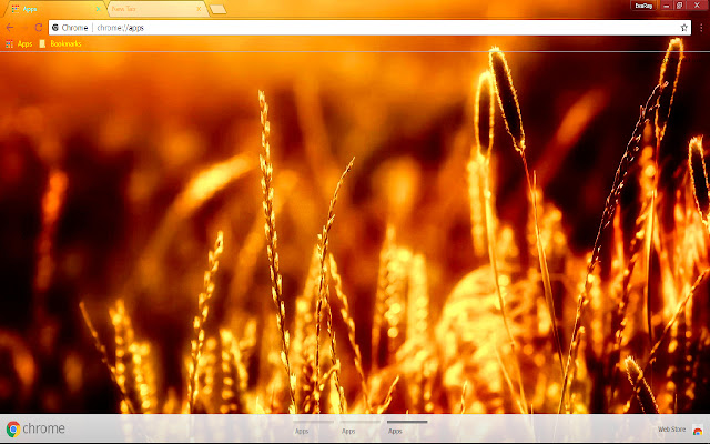Photography Wheat  from Chrome web store to be run with OffiDocs Chromium online