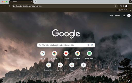 Photo of pine forest in the evening  from Chrome web store to be run with OffiDocs Chromium online