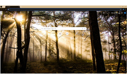 Photo of Trees at Golden Hour  from Chrome web store to be run with OffiDocs Chromium online