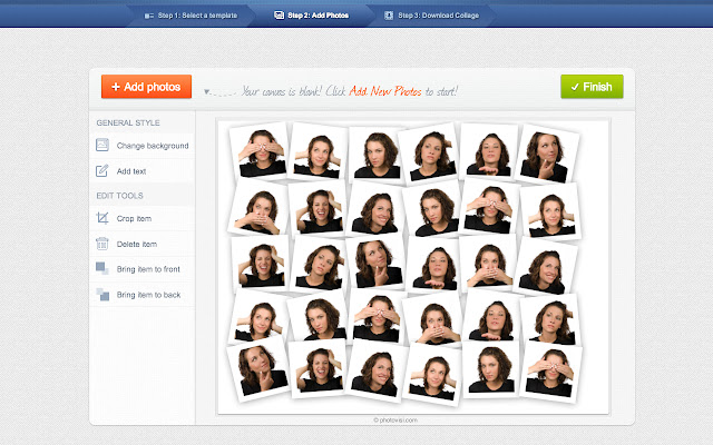 Photovisi Photo Collage Maker  from Chrome web store to be run with OffiDocs Chromium online