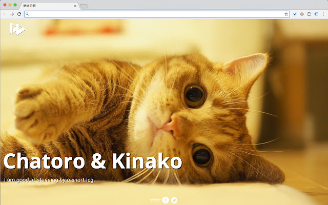 PHOWERD  from Chrome web store to be run with OffiDocs Chromium online
