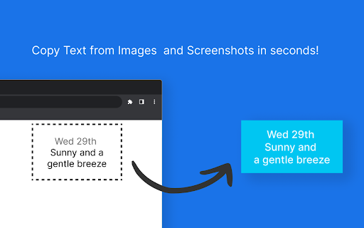 Pic2Text Pro Copy Text from Images and Screenshots  from Chrome web store to be run with OffiDocs Chromium online