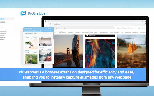PicGrabber  from Chrome web store to be run with OffiDocs Chromium online