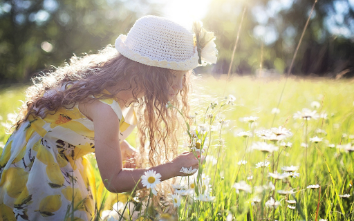 Picking flowers in the garden  from Chrome web store to be run with OffiDocs Chromium online