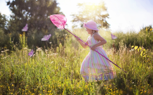 Picking flowers to catch butterflies  from Chrome web store to be run with OffiDocs Chromium online