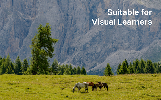 Picture Dictionary  from Chrome web store to be run with OffiDocs Chromium online