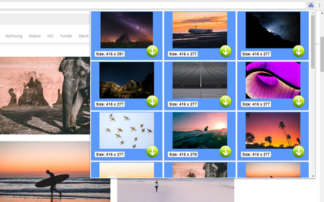 Picture Downloader  from Chrome web store to be run with OffiDocs Chromium online