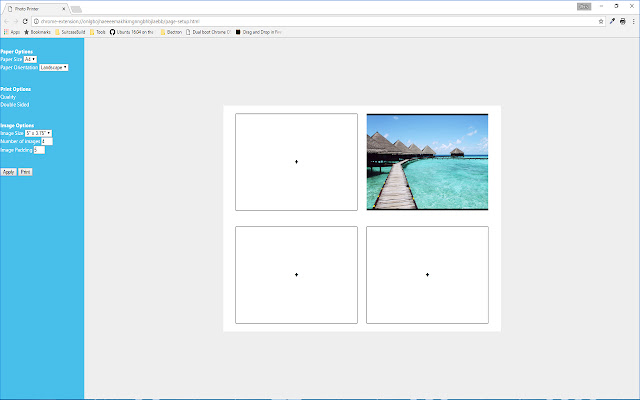 Picture Printer  from Chrome web store to be run with OffiDocs Chromium online