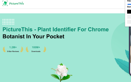 PictureThis Plant Identifier for Chrome  from Chrome web store to be run with OffiDocs Chromium online