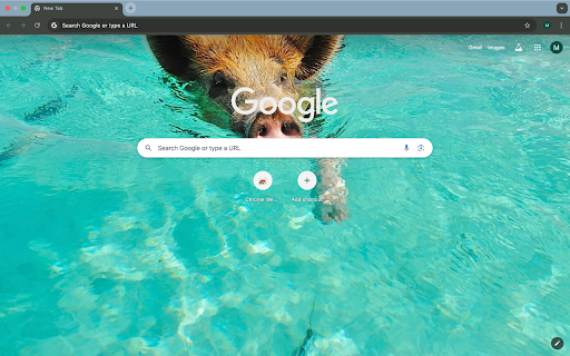 Pig is swimming  from Chrome web store to be run with OffiDocs Chromium online