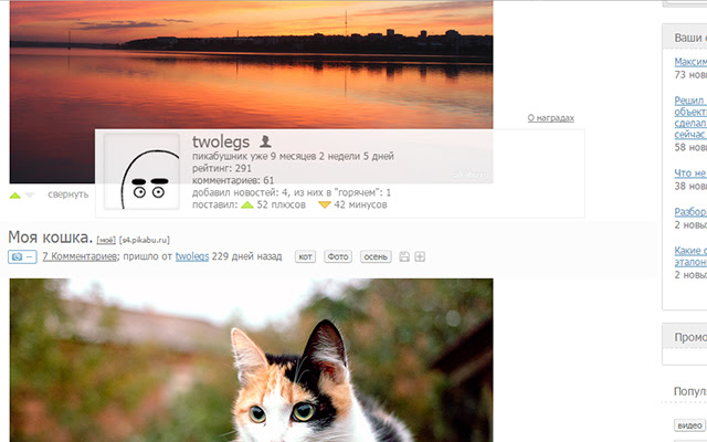 Pikabu Profile Viewer  from Chrome web store to be run with OffiDocs Chromium online