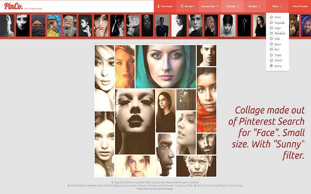 PinCo Collage Maker for Websites PRO  from Chrome web store to be run with OffiDocs Chromium online