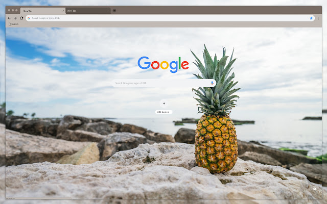 Pineapple on the rocks  from Chrome web store to be run with OffiDocs Chromium online