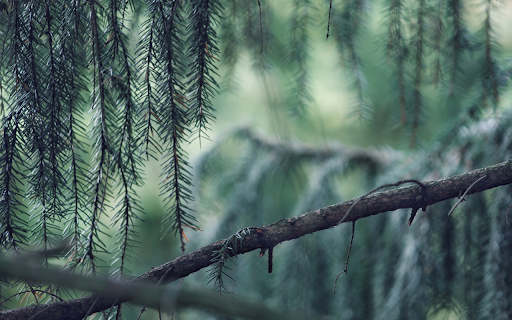 Pine branches  from Chrome web store to be run with OffiDocs Chromium online