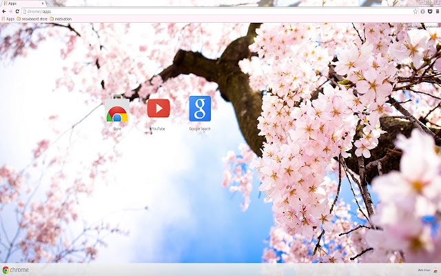 Pink Cherry Blossom Flowers  from Chrome web store to be run with OffiDocs Chromium online