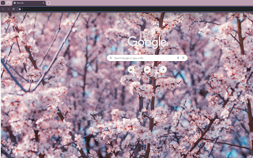 pink cherry blossoms in full bloom  from Chrome web store to be run with OffiDocs Chromium online