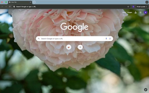 pink flower  from Chrome web store to be run with OffiDocs Chromium online