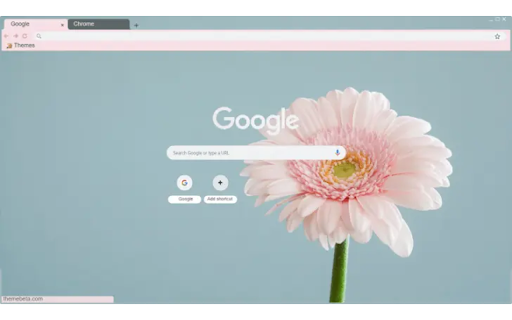 Pink gerbera up close  from Chrome web store to be run with OffiDocs Chromium online