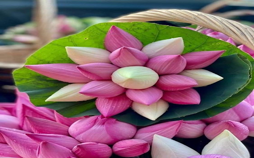 Pink lotus bouquet wallpaper  from Chrome web store to be run with OffiDocs Chromium online