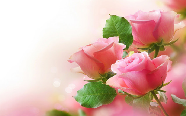 Pink Roses Puzzle  from Chrome web store to be run with OffiDocs Chromium online