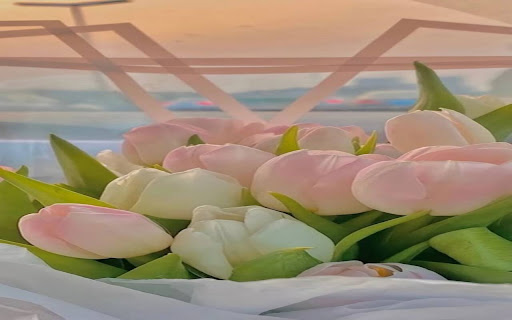 pink white tulip wallpaper  from Chrome web store to be run with OffiDocs Chromium online
