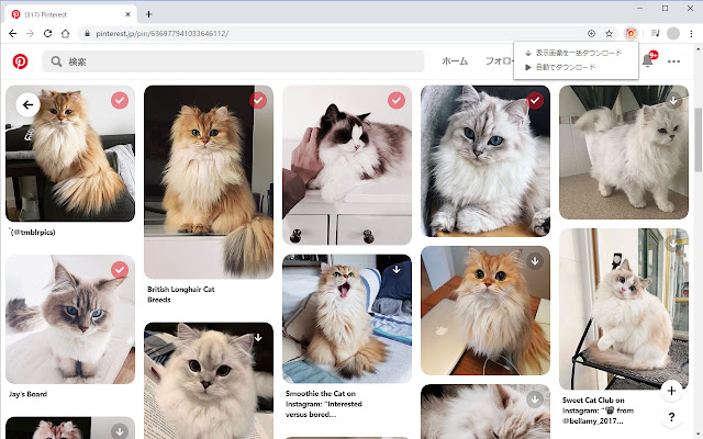 Pinterest画像ダウンローダー ze sklepu internetowego Chrome do uruchomienia z OffiDocs Chromium online