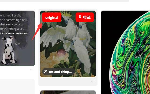 Pinterest Original Image  from Chrome web store to be run with OffiDocs Chromium online