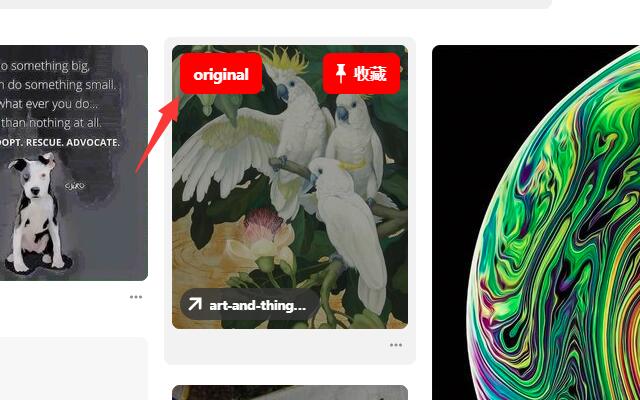 Pinterest Originalbild aus dem Chrome-Webshop zur Ausführung mit OffiDocs Chromium online